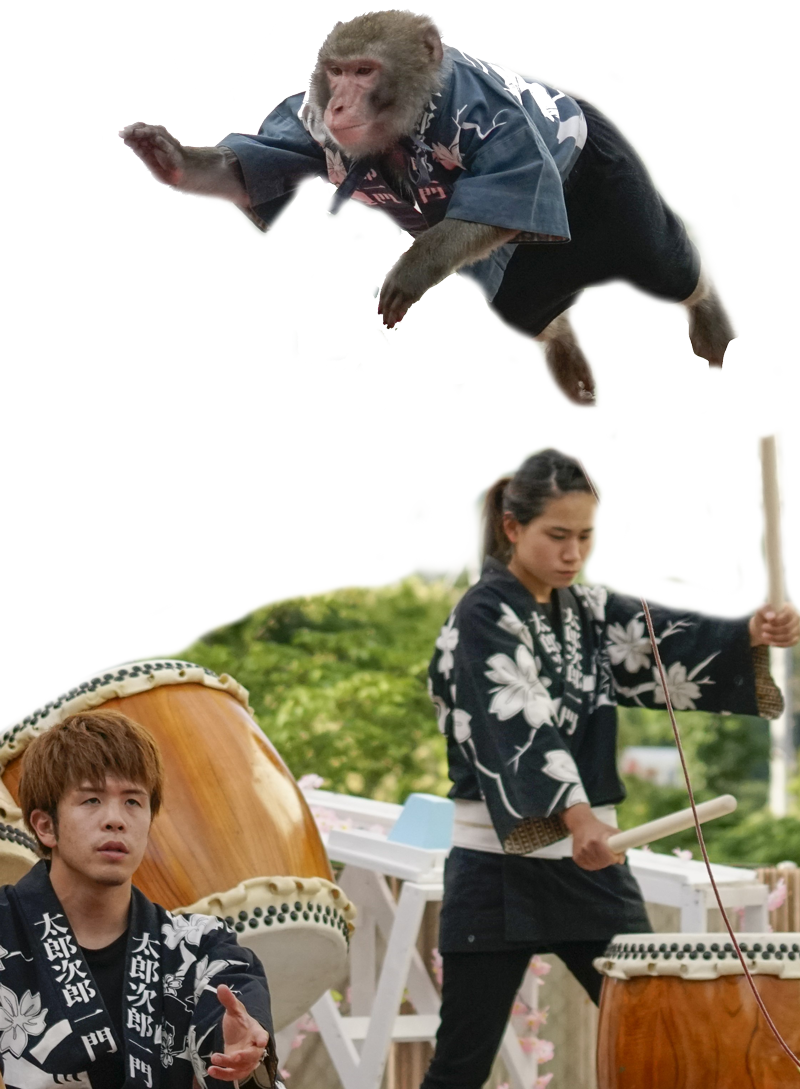 日光さる軍団登場